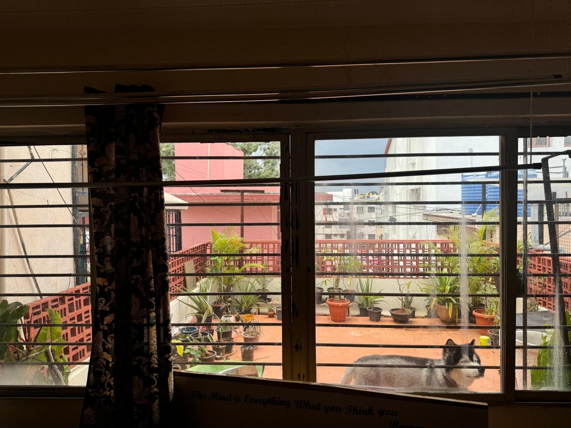 Homestay The Three Story Escape Lalbagh , Jayanagar Bangalore